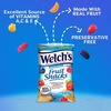 image:imageWelchs Fruit Snacks Berries n Cherries Great for School Lunches Bulk Pack Individual Single Serve Bags 155 oz Pack of 144Mixed Fruit